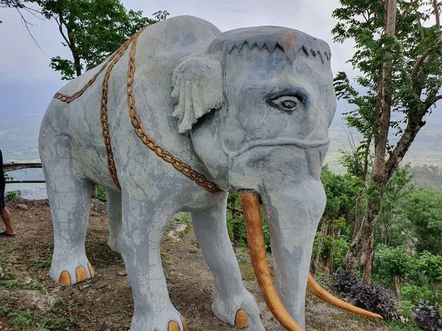 Puncak Gajah Mungkur View