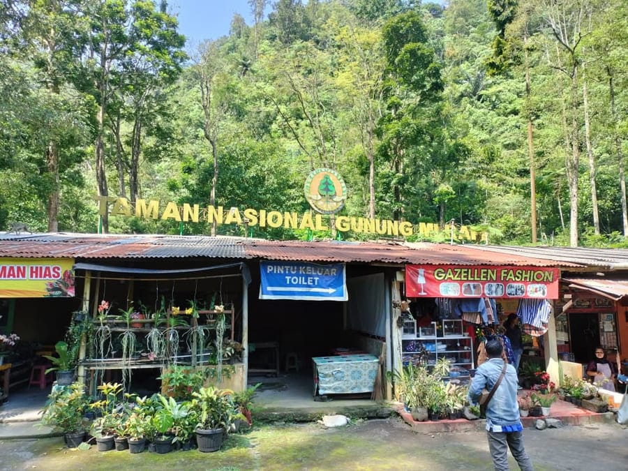 Taman Nasional Gunung Merapi - Yogyaku-tercinta