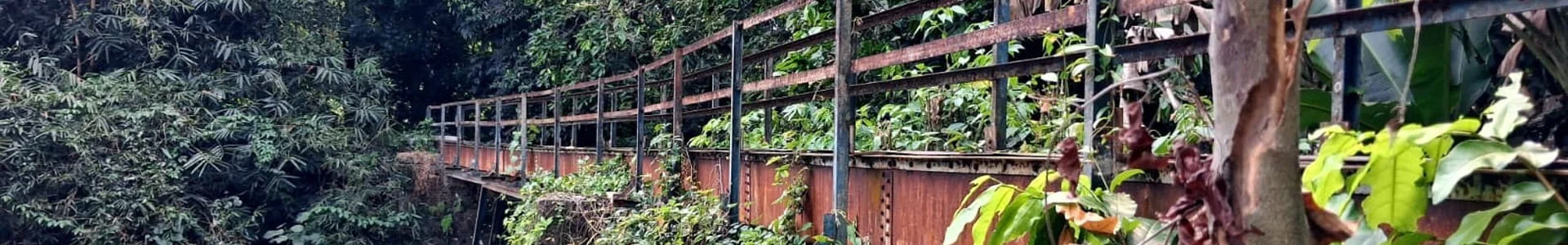 Jembatan Irigasi Belanda Pedes - Yogyaku-tercinta